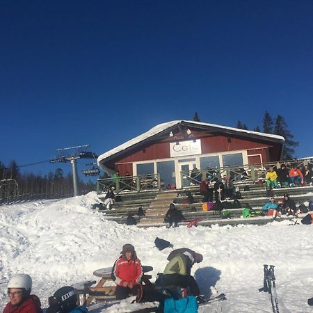 1125 Fjaellstugan Lofsdalen Kültér fotó