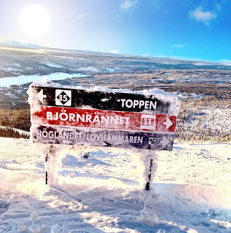 1125 Fjaellstugan Lofsdalen Kültér fotó