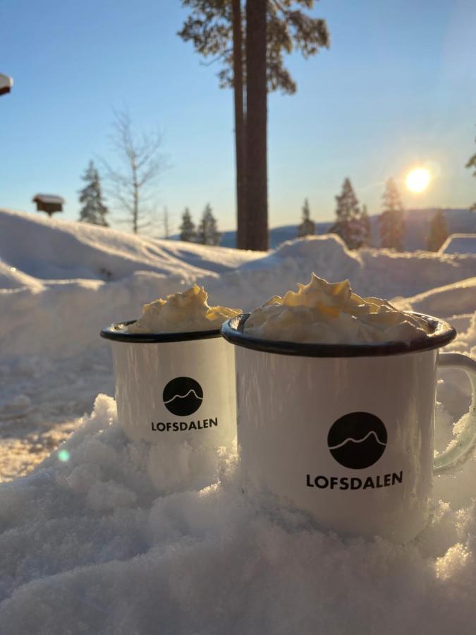 1125 Fjaellstugan Lofsdalen Kültér fotó
