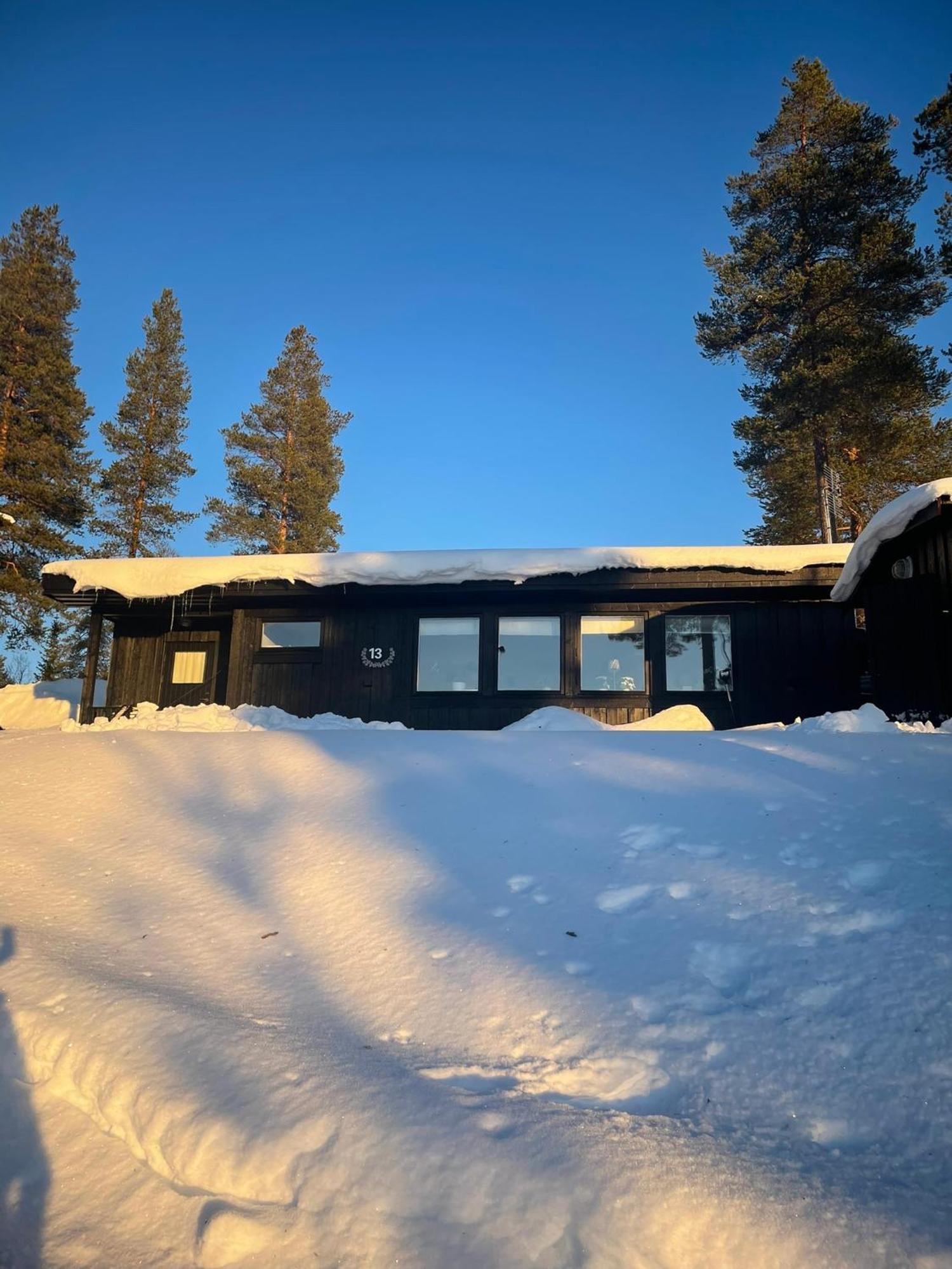 1125 Fjaellstugan Lofsdalen Kültér fotó