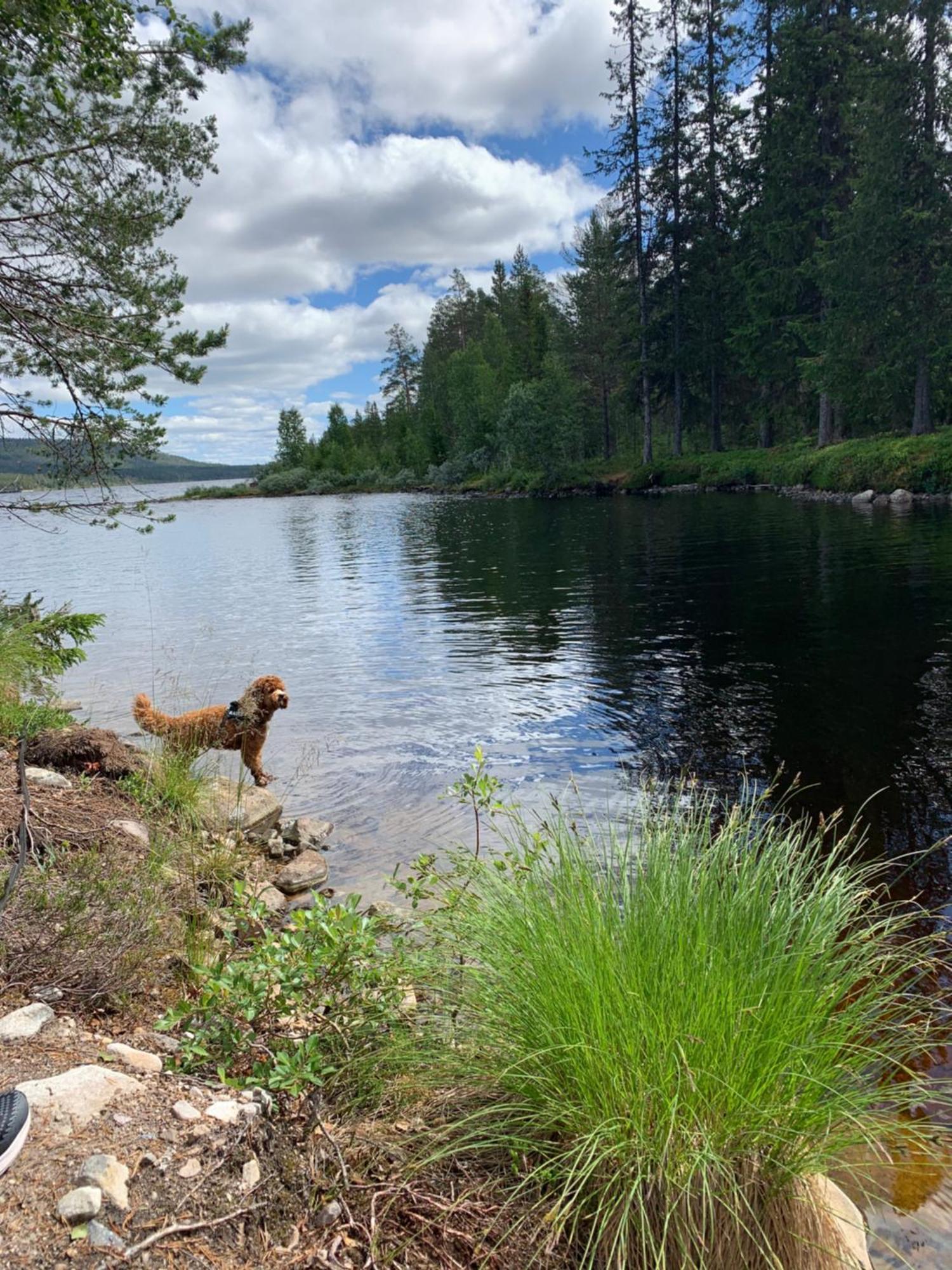 1125 Fjaellstugan Lofsdalen Kültér fotó