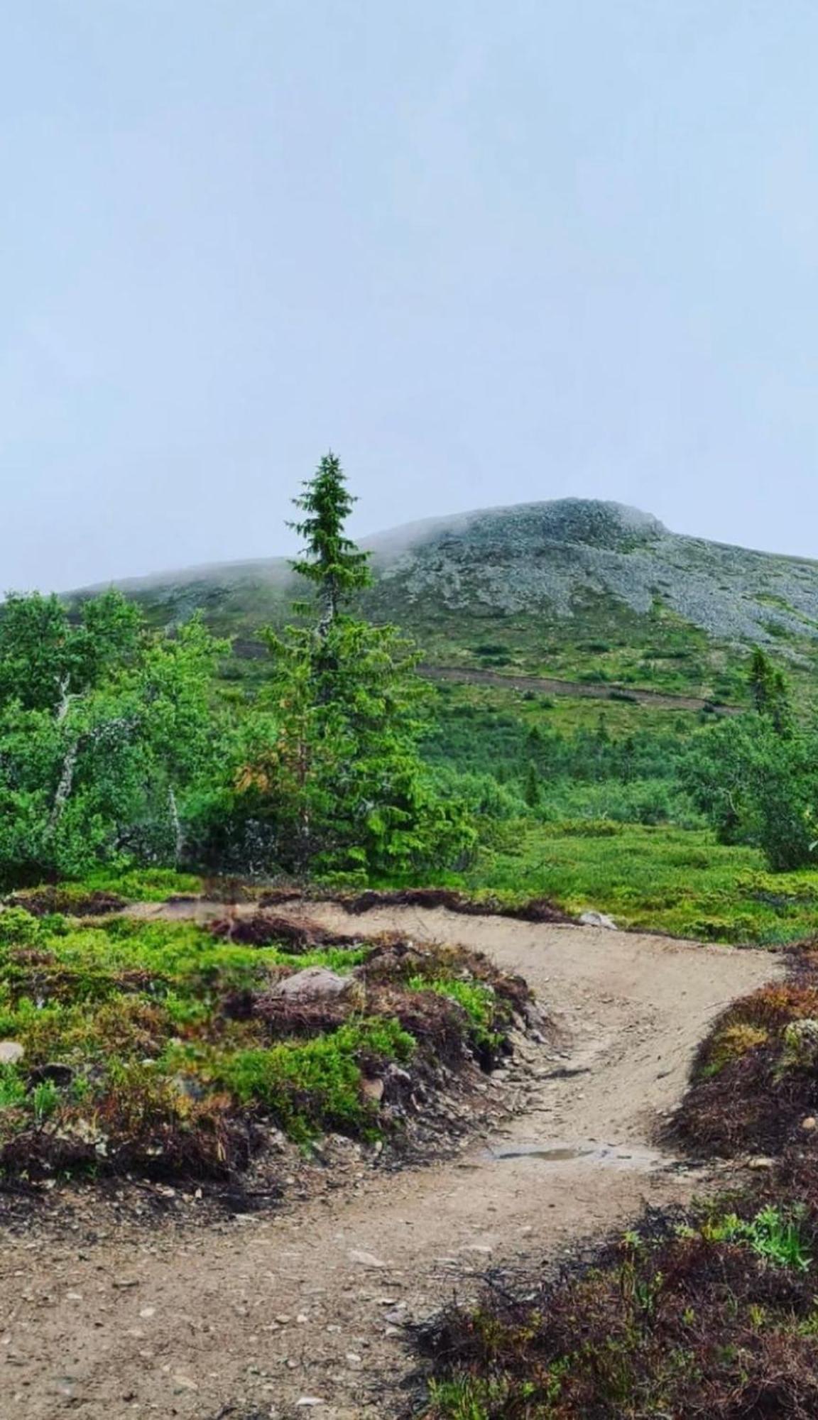 1125 Fjaellstugan Lofsdalen Kültér fotó